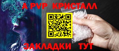 гашик Кингисепп