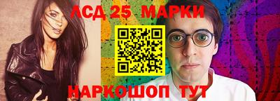 гашик Кингисепп