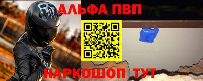 гашик Кингисепп