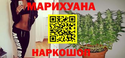 гашик Кингисепп
