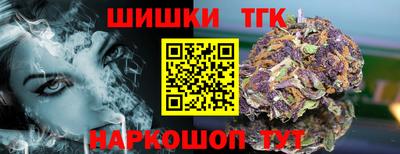 гашик Кингисепп
