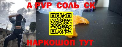 гашик Кингисепп