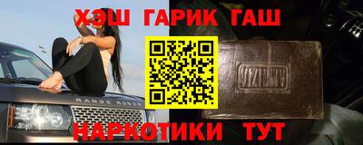 гашик Кингисепп