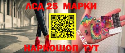 гашик Кингисепп